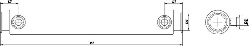 V1 D2 D1 L1 L1